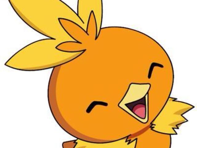 Torchic