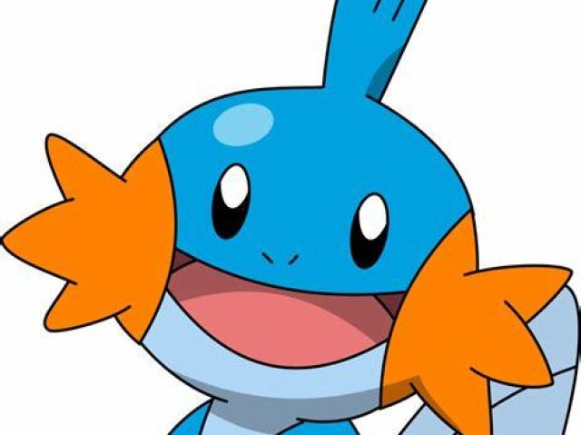 Mudkip