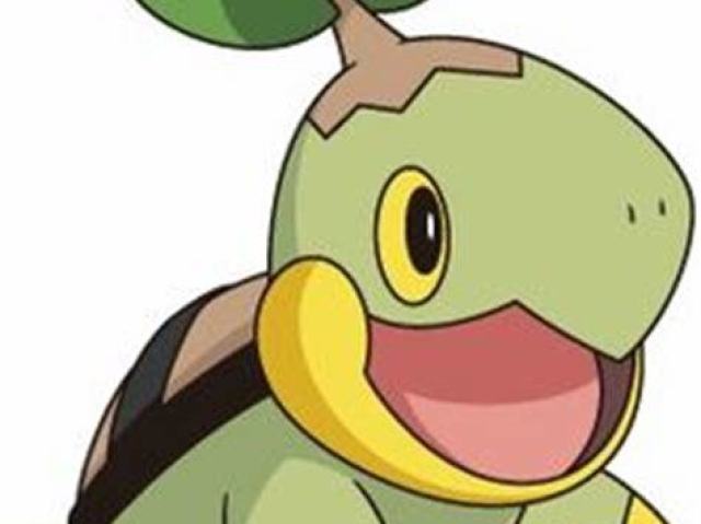 Turtiwig
