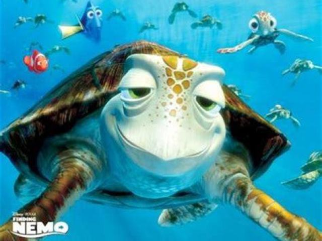 Tartaruga