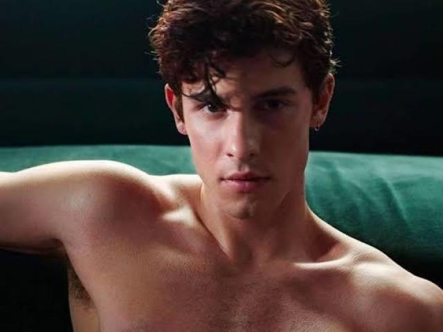 O quanto você sabe sobre Shawn Mendes?