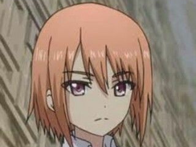 Medoki