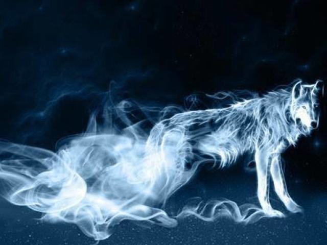 Raposa/lobo