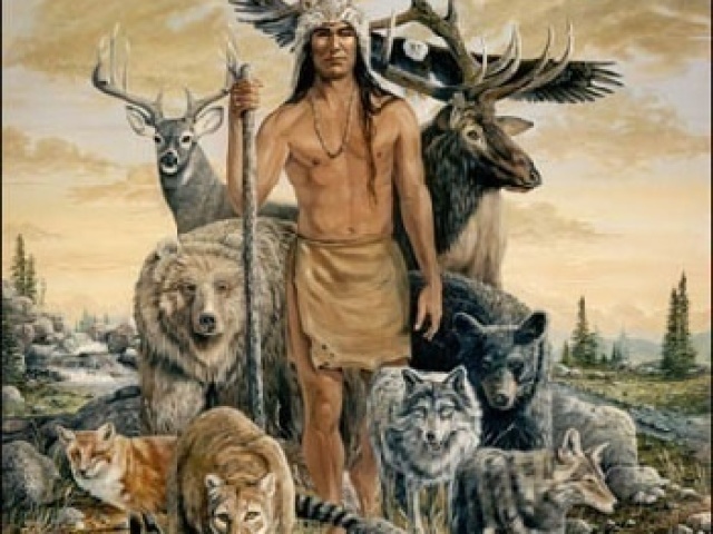 Animais