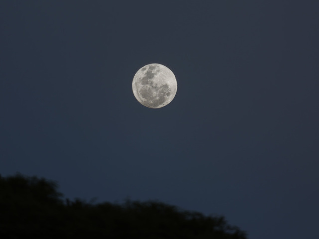Lua cheia