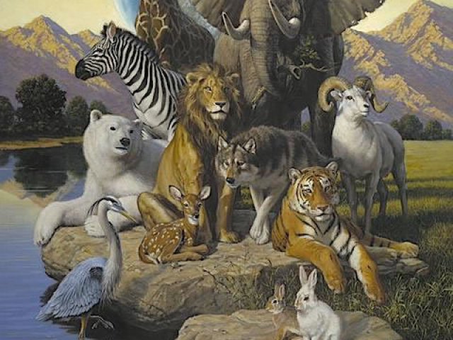 Transformar-se em qualquer animal