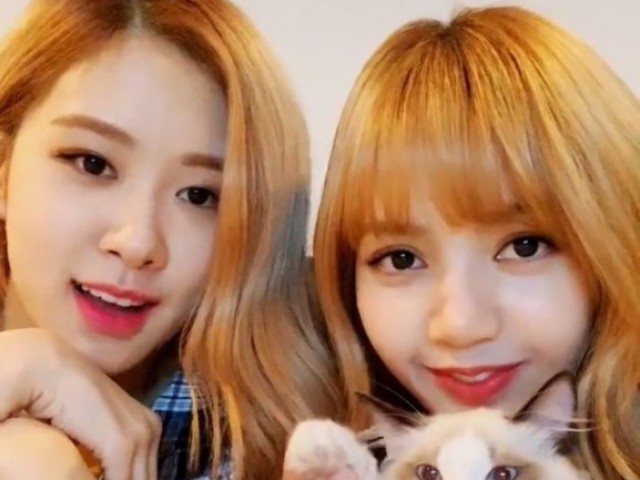 Lisa e Rosé