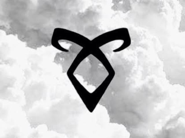 Você sabe tudo sobre shadowhunters?