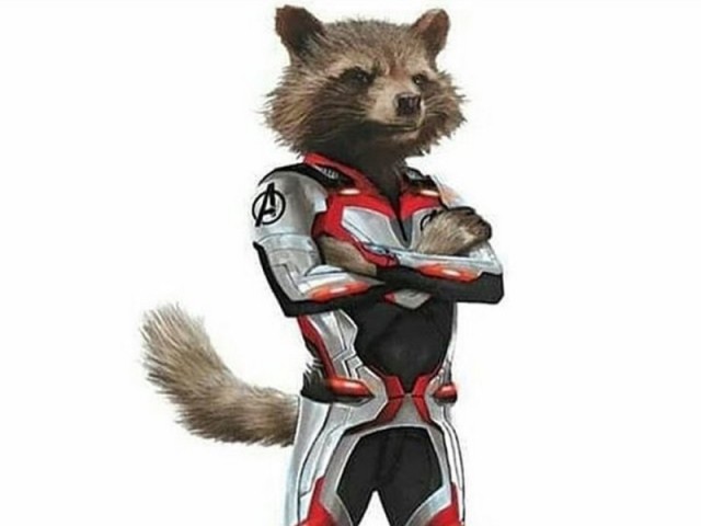 Rocket racoon