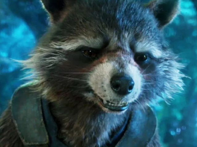 Rocket racoon