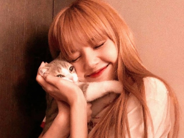 Lisa