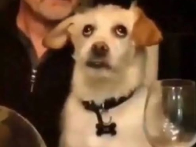 O impaciente