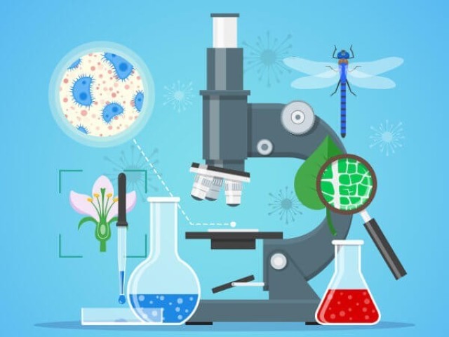 Teste de Biologia!