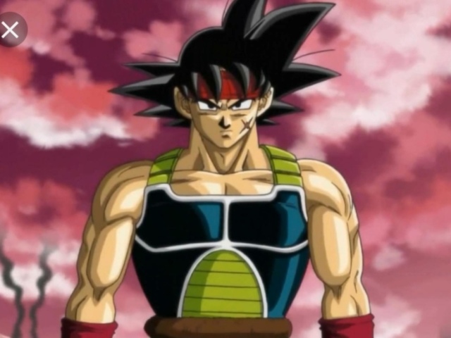 Bardock