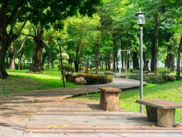 parque