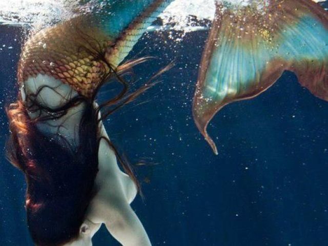 Sereia 🧜♀️