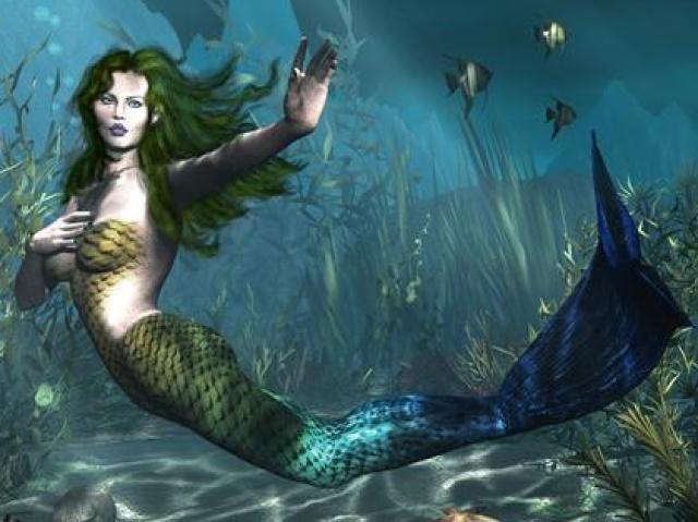 Sereia