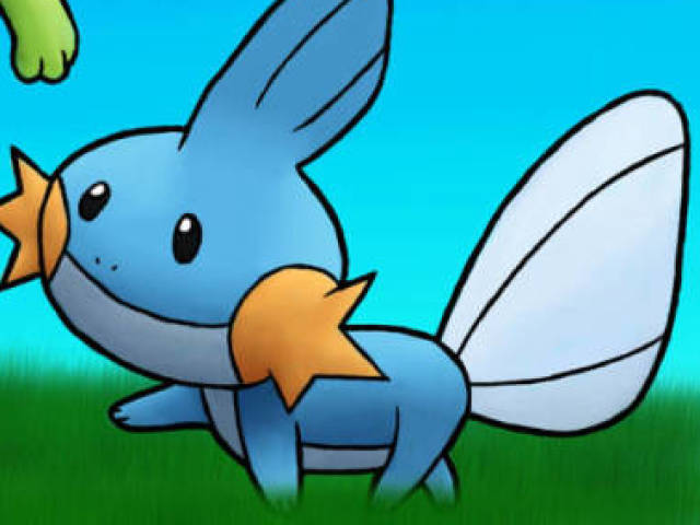 Mudkip