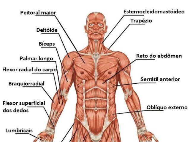 Educação física