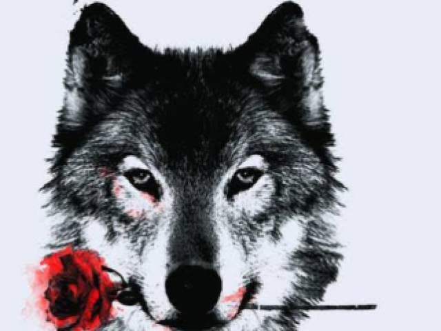 Lobo