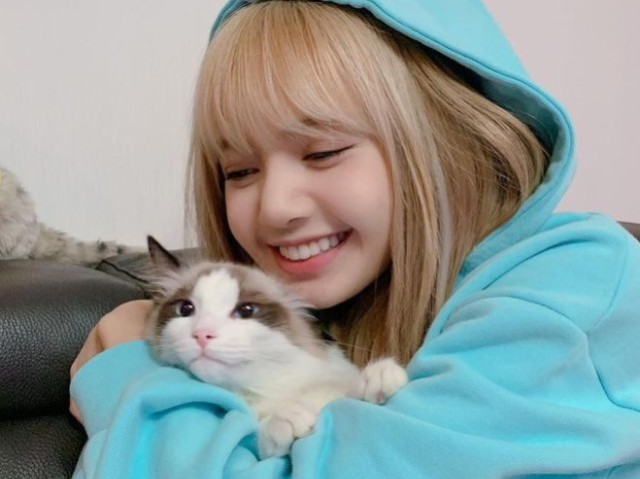 Lisa ♡.