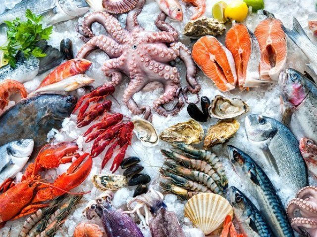 Com qual pescado você se parece?