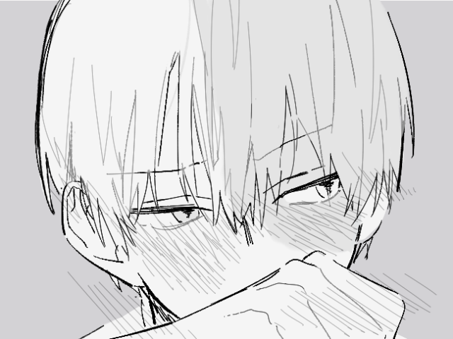 Shoto Todoroki!