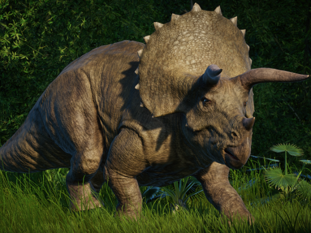 Triceratops