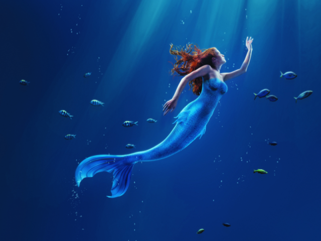 Sereia/tritão profissional