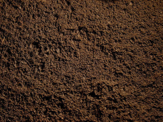 Terra