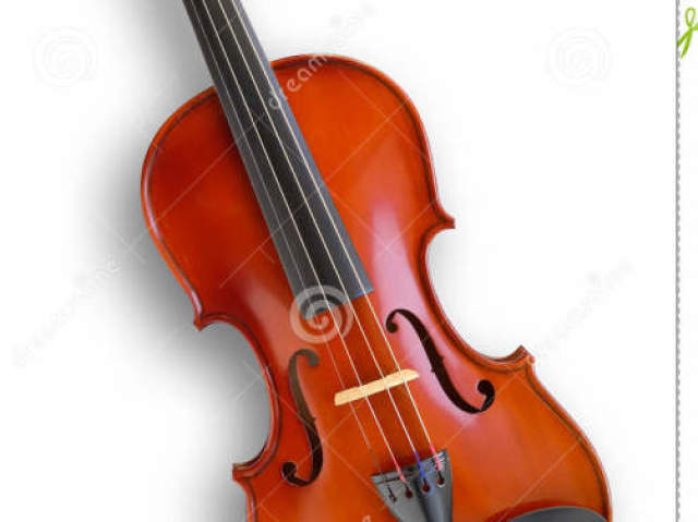 Violino