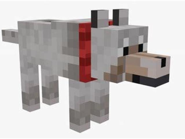 Lobo