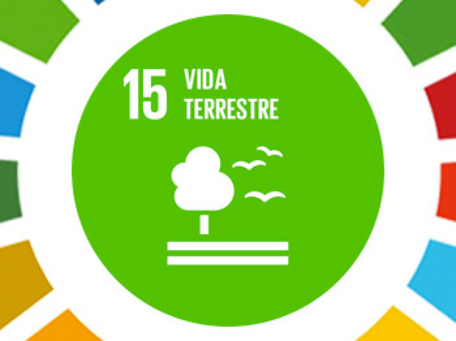 Objetivo 15. Proteger, recuperar e promover o uso sustentável dos ecossistemas terrestres, gerir de forma sustentável as florestas, combater a desertificação, deter e reverter a degradação da terra e deter a perda de biodiversidade