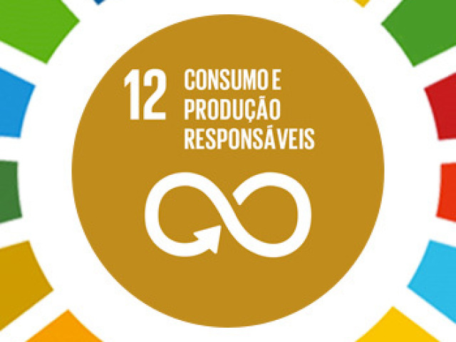 Objetivo 12. Assegurar padrões de produção e de consumo sustentáveis