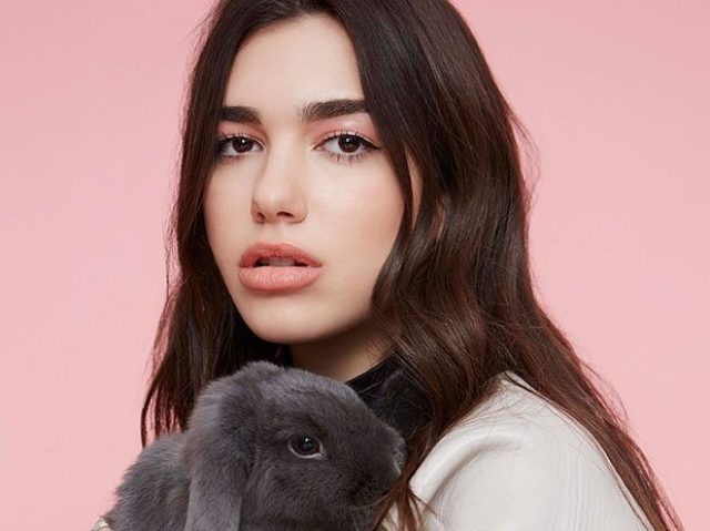 Dua lipa