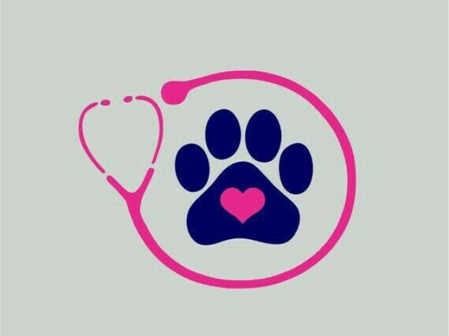 Veterinária