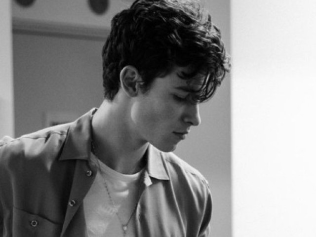 shawn mendes