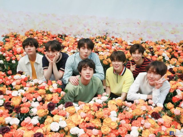 Você consegue diferenciar os membros do bts?
