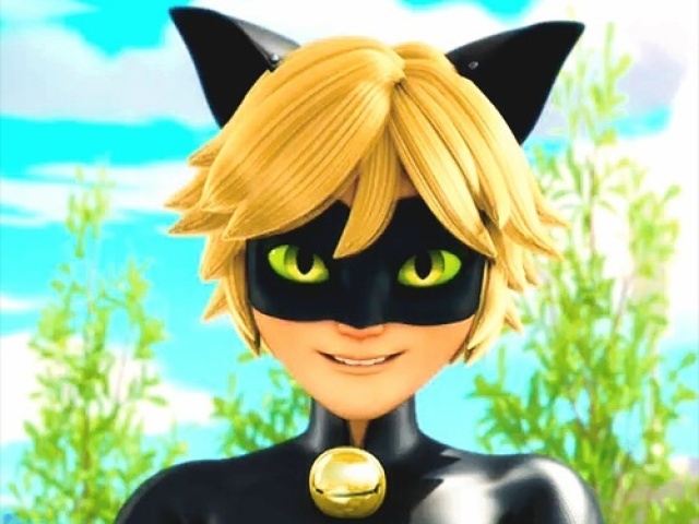 Chat Noir