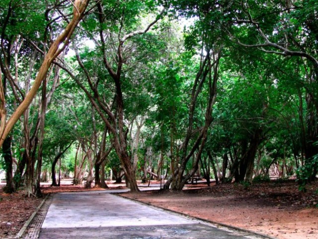 Parque