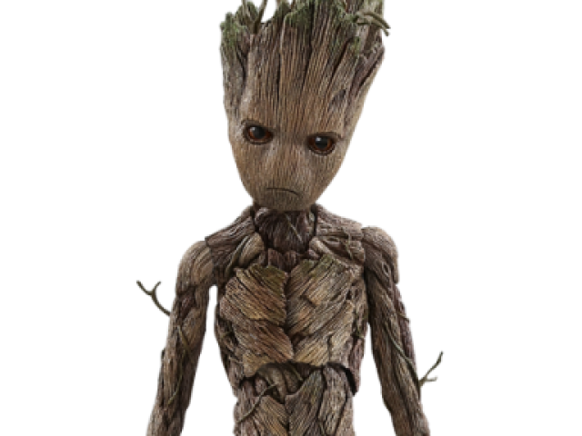 Groot