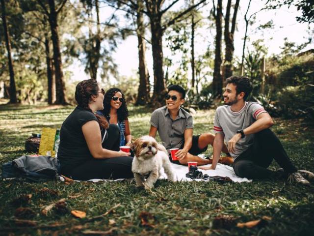 Encontro com os amigos