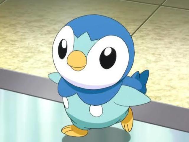 Pokemon Piplup