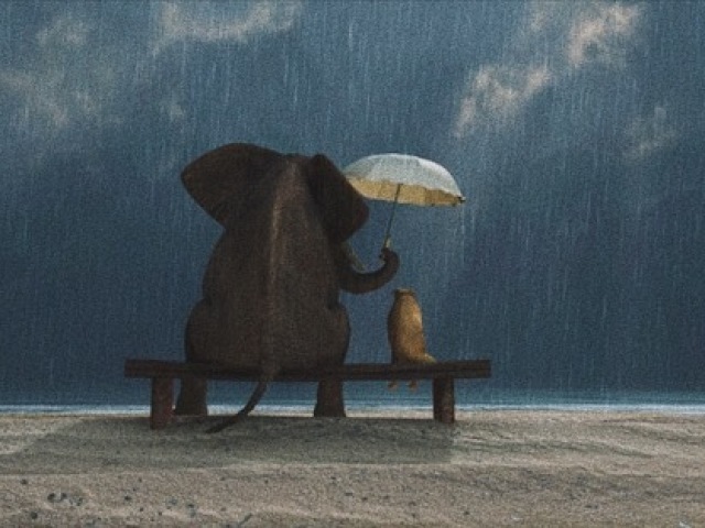 Bondade