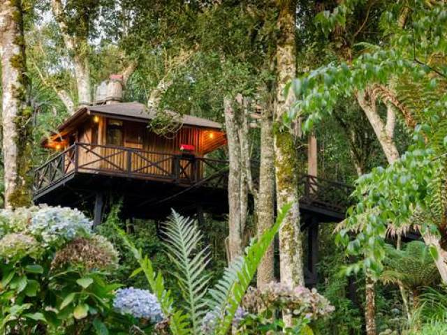 Uma casa na natureza