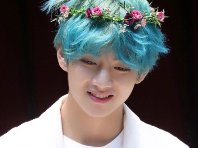 Será que você conhece mesmo os nossos BBs? (BTS)