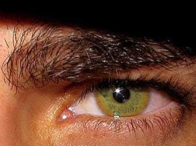 Olhos Verdes