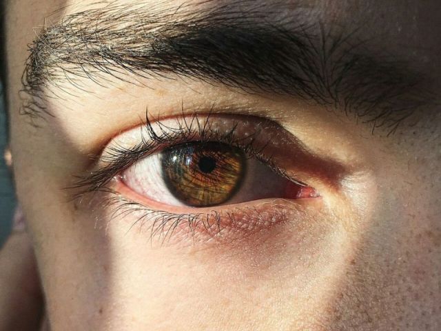 Olhos Castanhos