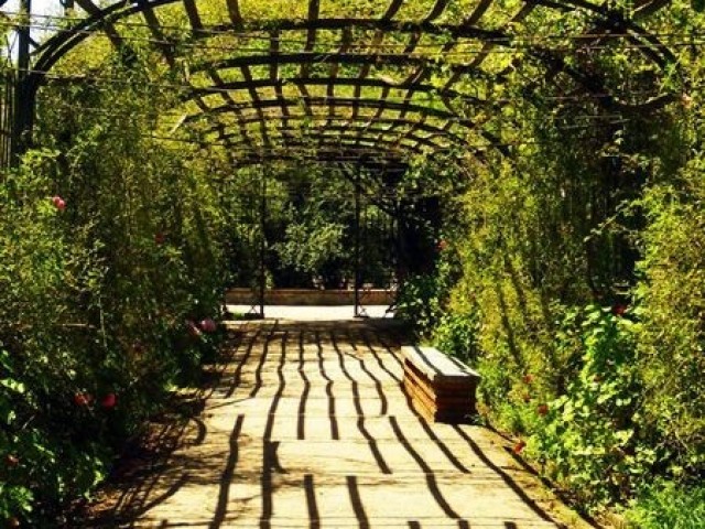 Parque