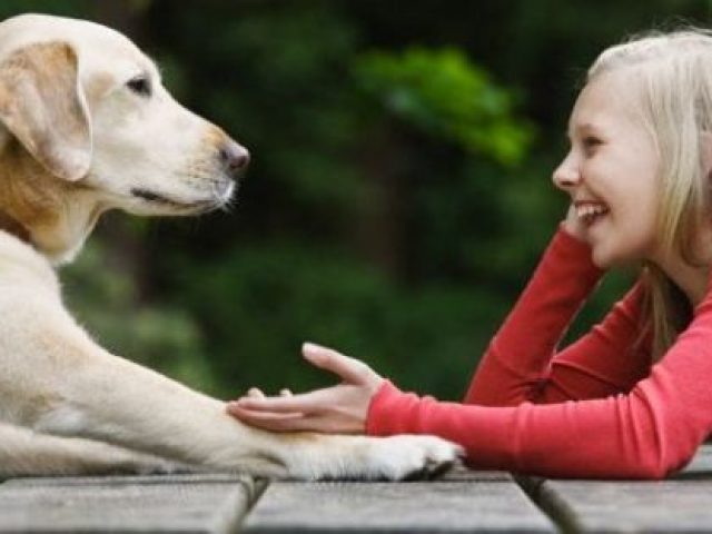 Conversar com os animais